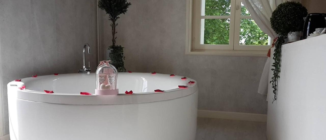 Orangerie Du Chateau Marith - Domaine Avec Piscine Clairac  Екстер'єр фото