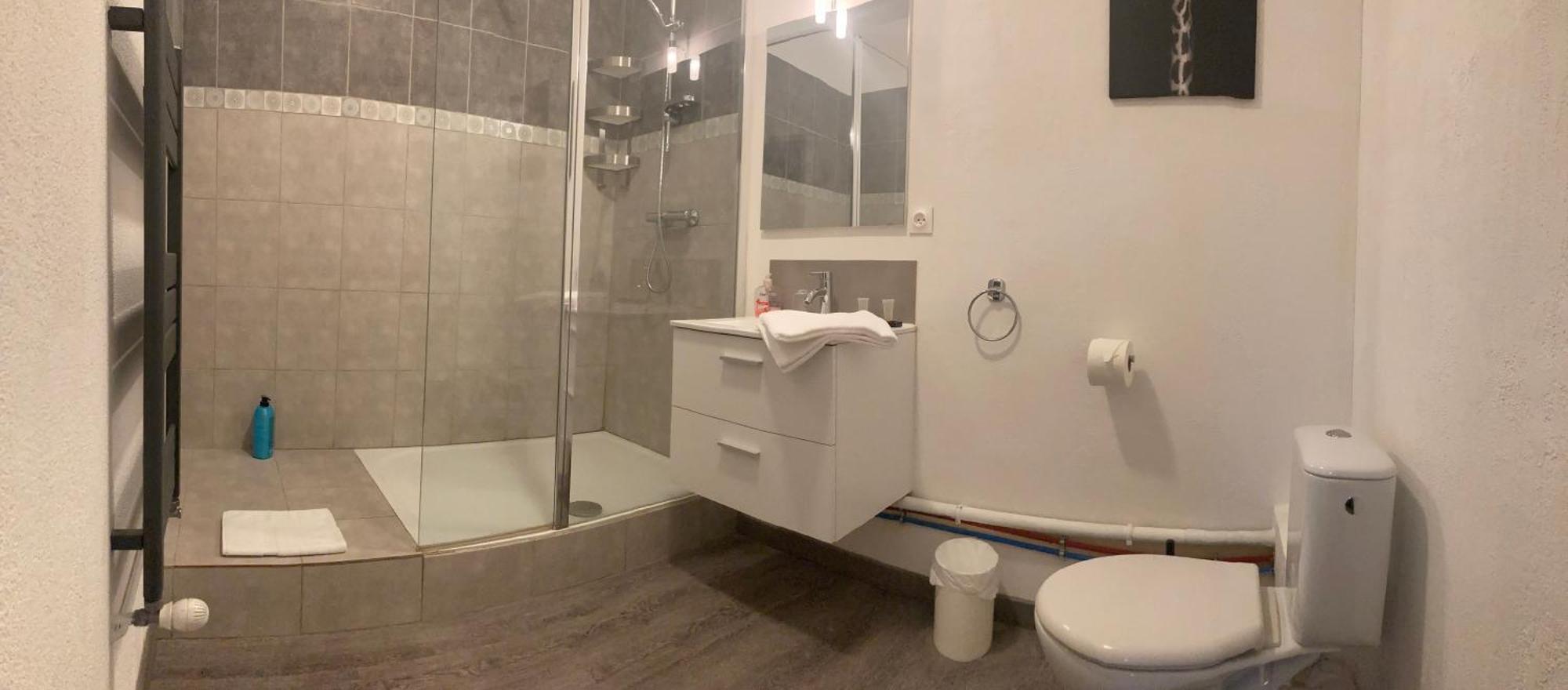 Orangerie Du Chateau Marith - Domaine Avec Piscine Clairac  Номер фото