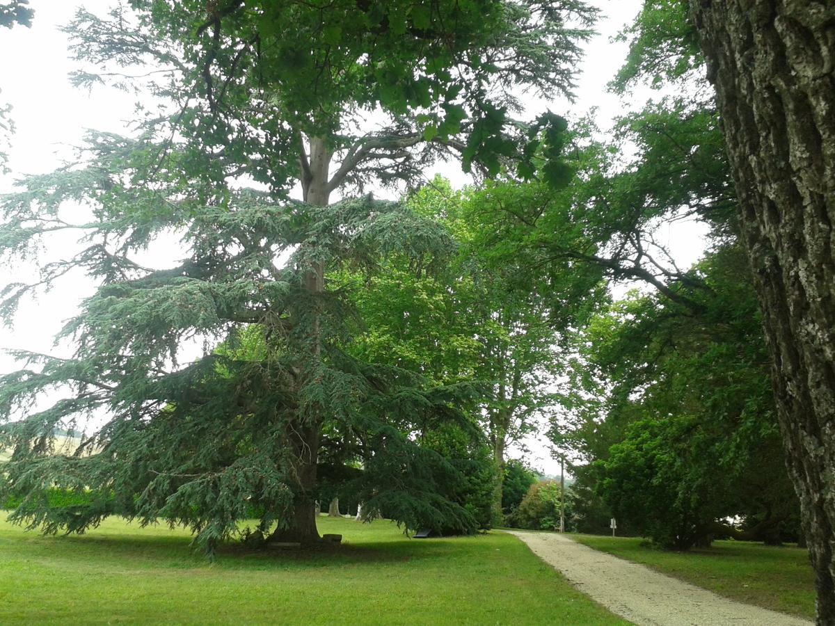Orangerie Du Chateau Marith - Domaine Avec Piscine Clairac  Екстер'єр фото