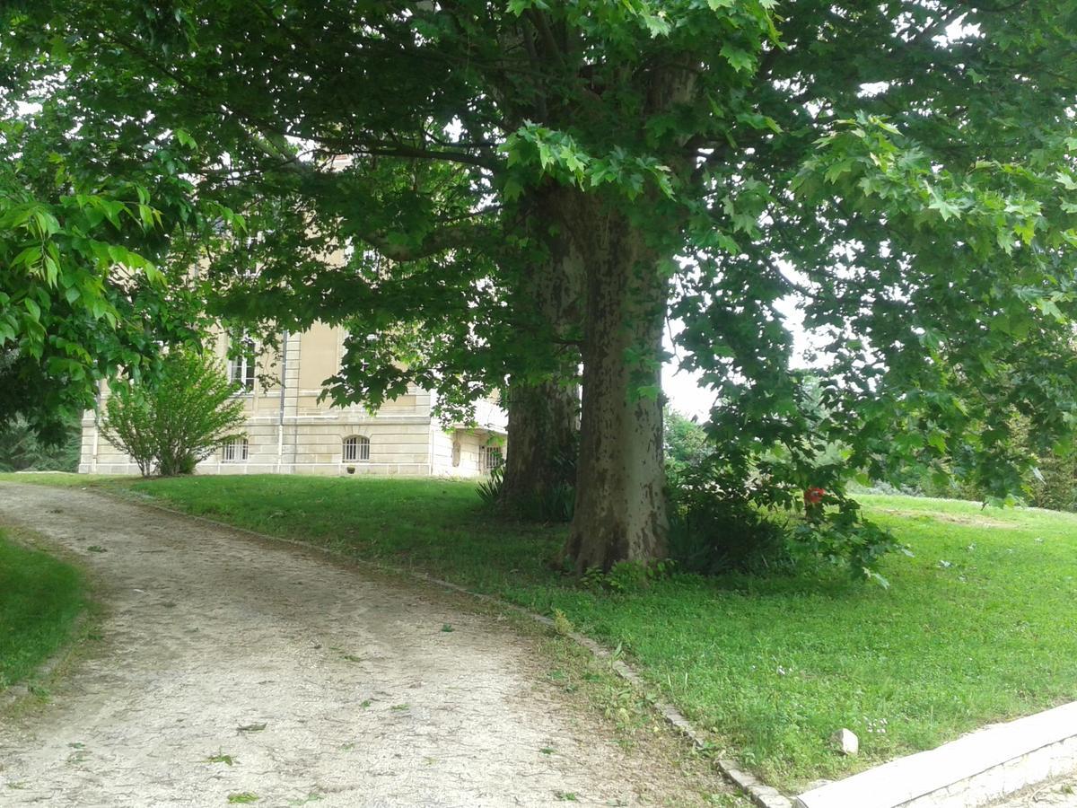 Orangerie Du Chateau Marith - Domaine Avec Piscine Clairac  Екстер'єр фото